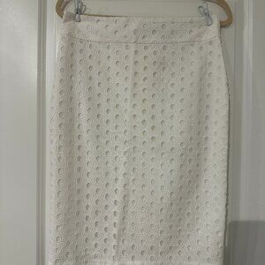 Ann Taylor Pencil Skirt